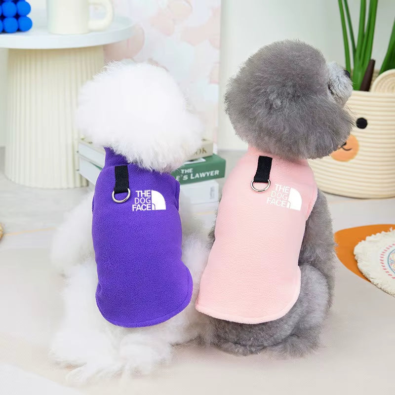 tenu chien 